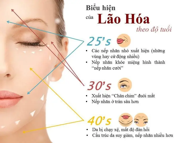 20230222 chong lao hoa da 2